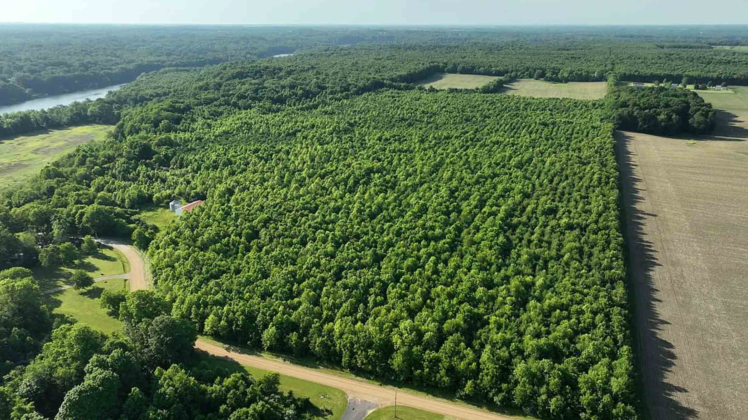 60-acre wooded land in Niles, Michigan purchased by Cash.Land