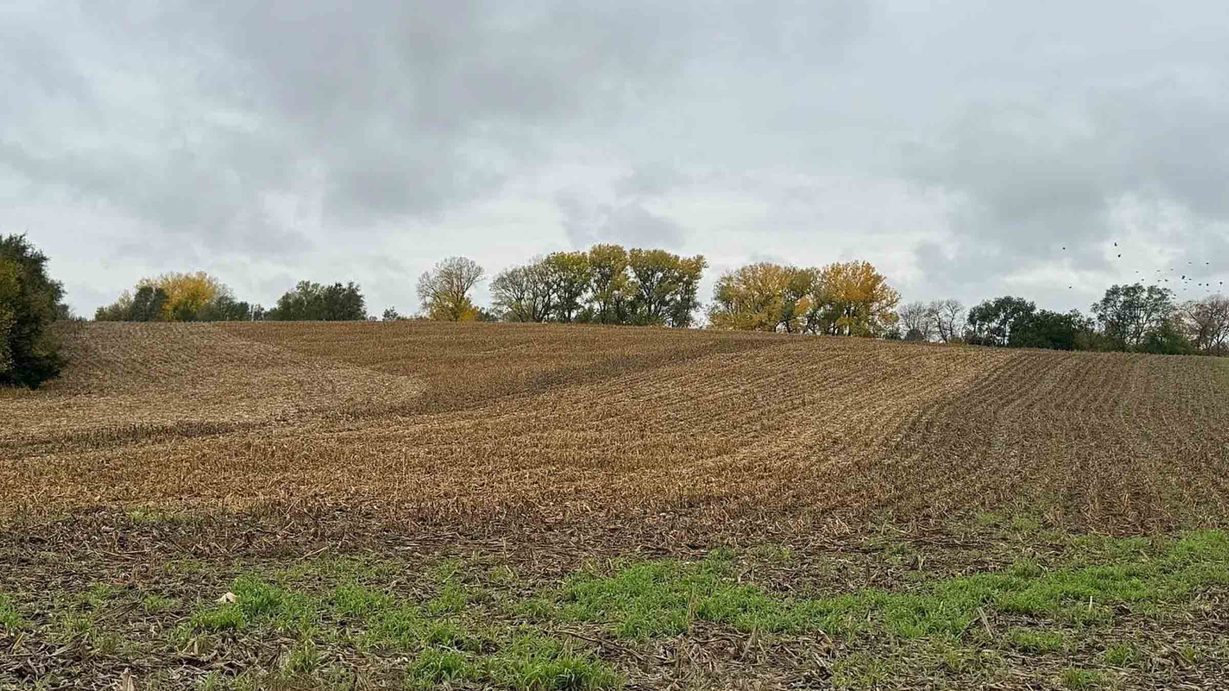 164.5-acre agricultural farm land in Minden, Nebraska purchased by Cash.Land