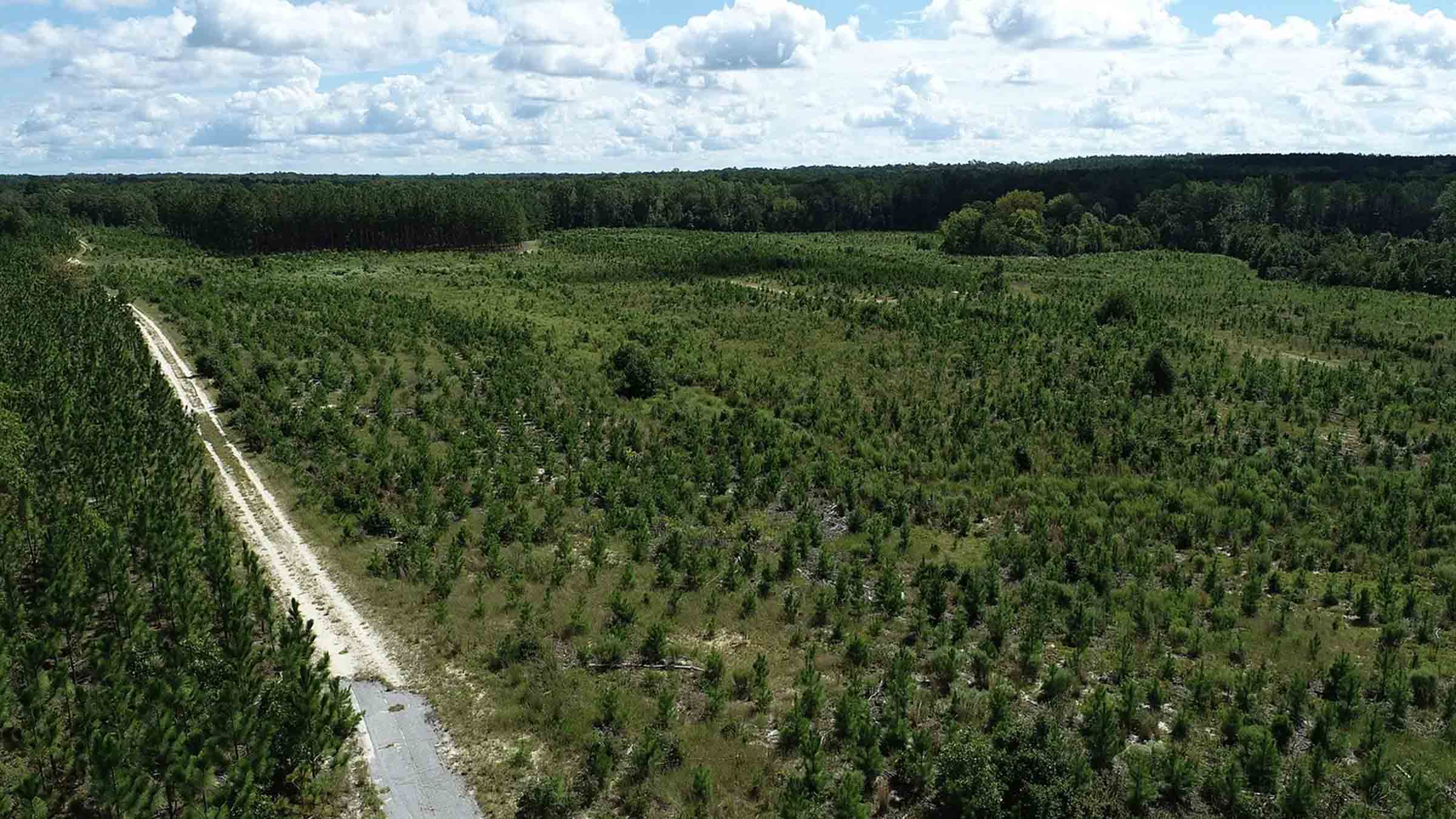 305-acre acreage in Camden, South Carolina purchased by Cash.Land