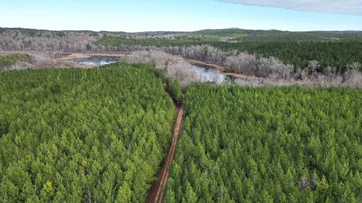 124-acre timber land in Bay Minette, Alabama purchased by Cash.Land