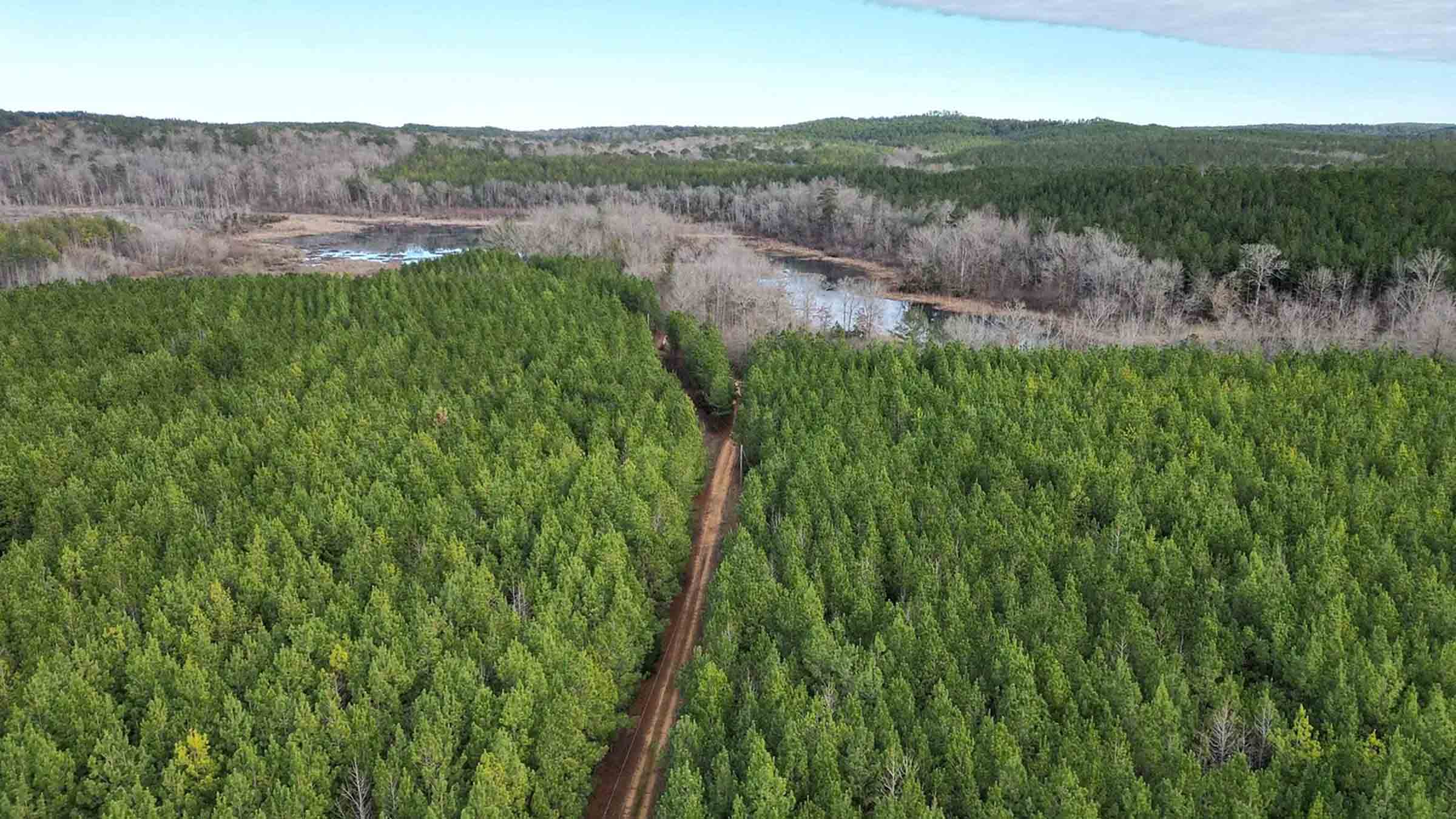 124-acre timber land in Bay Minette, Alabama purchased by Cash.Land