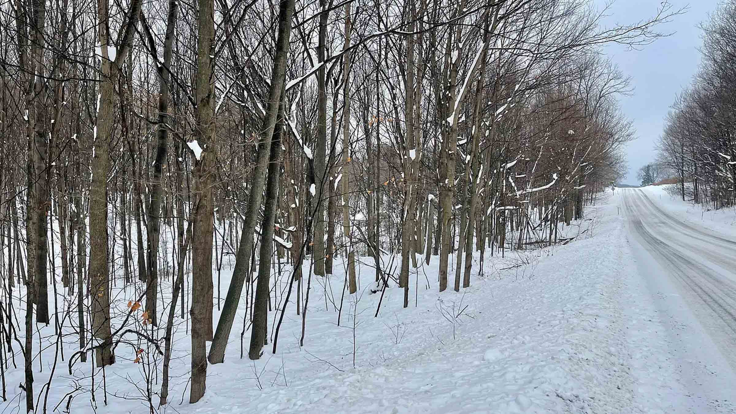 2.5-acre vacant land in Chester, Vermont purchased by Cash.Land