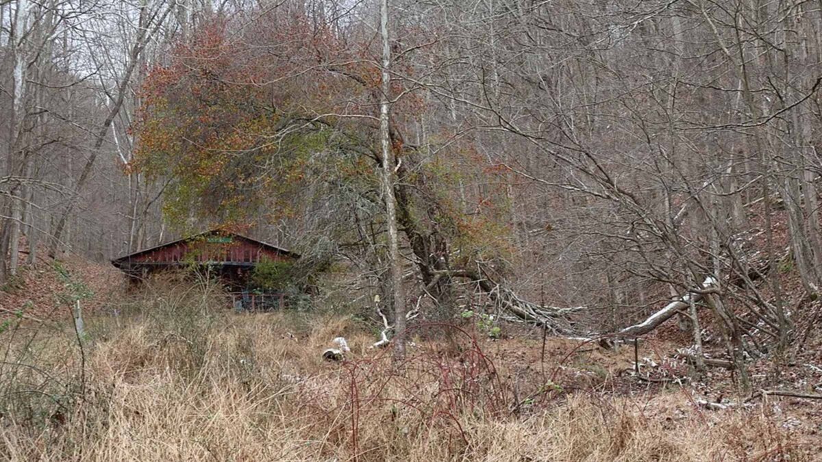 10-acre hunting land in Boyne Falls, Michigan purchased by Cash.Land