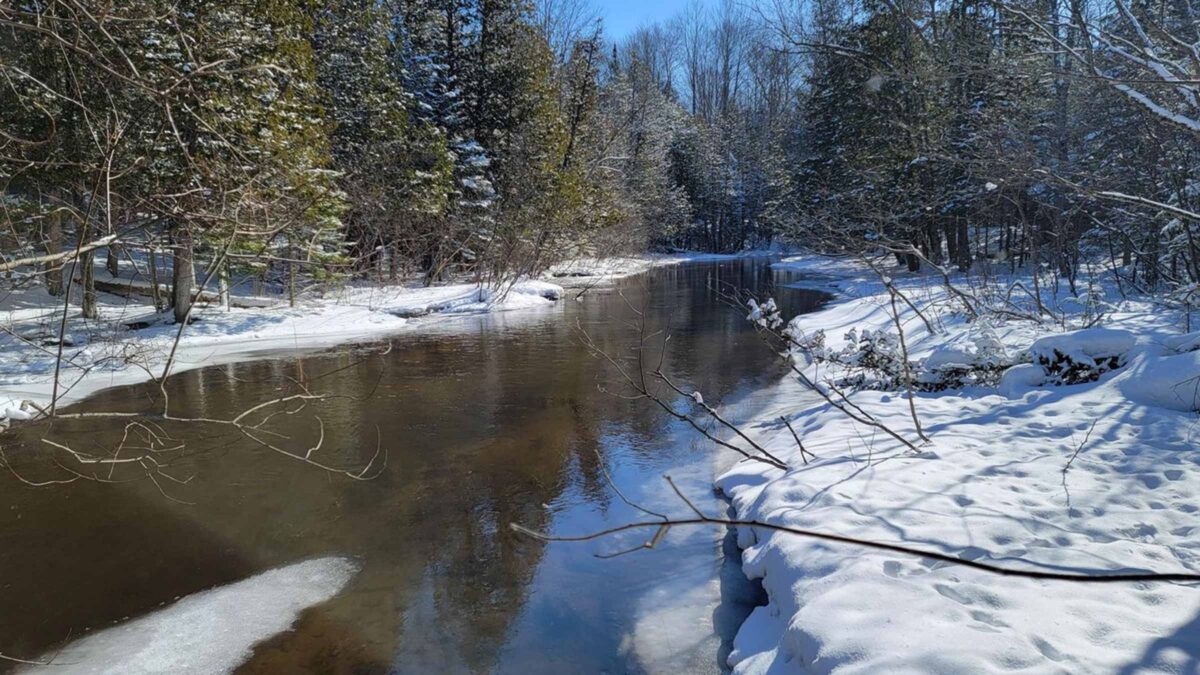 40-acre hunting land in Charlevoix, Michigan purchased by Cash.Land