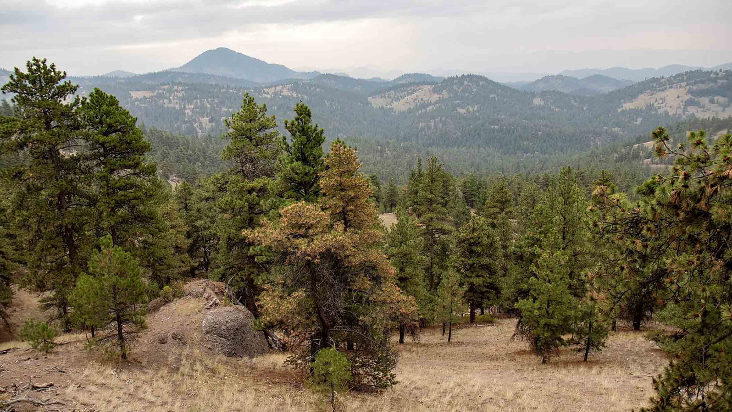 12.6-acre raw land in Sidney, Montana purchased by Cash.Land