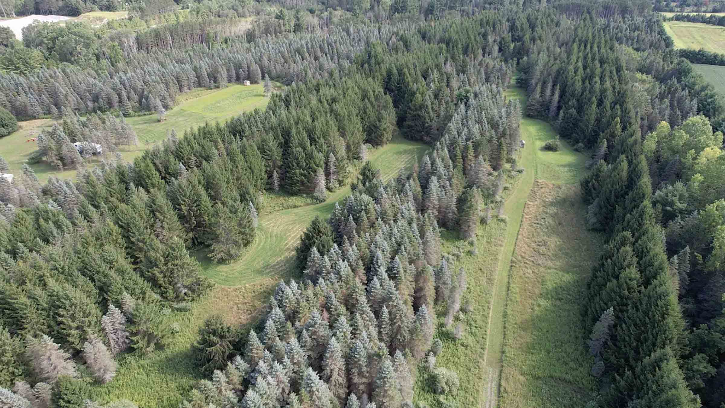 26.5-acre timber land in Oskaloosa, Iowa purchased by Cash.Land