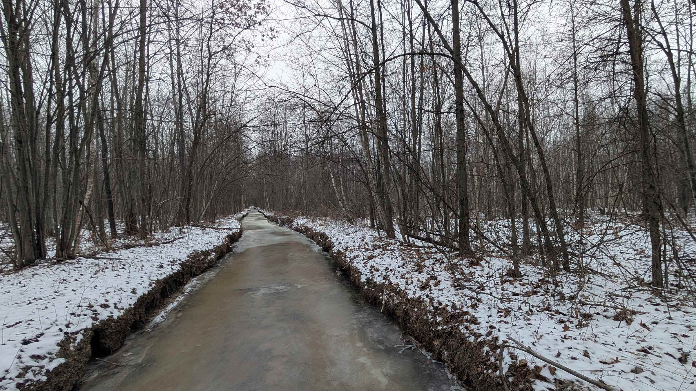 5-acre undeveloped land in Virginia, Minnesota purchased by Cash.Land