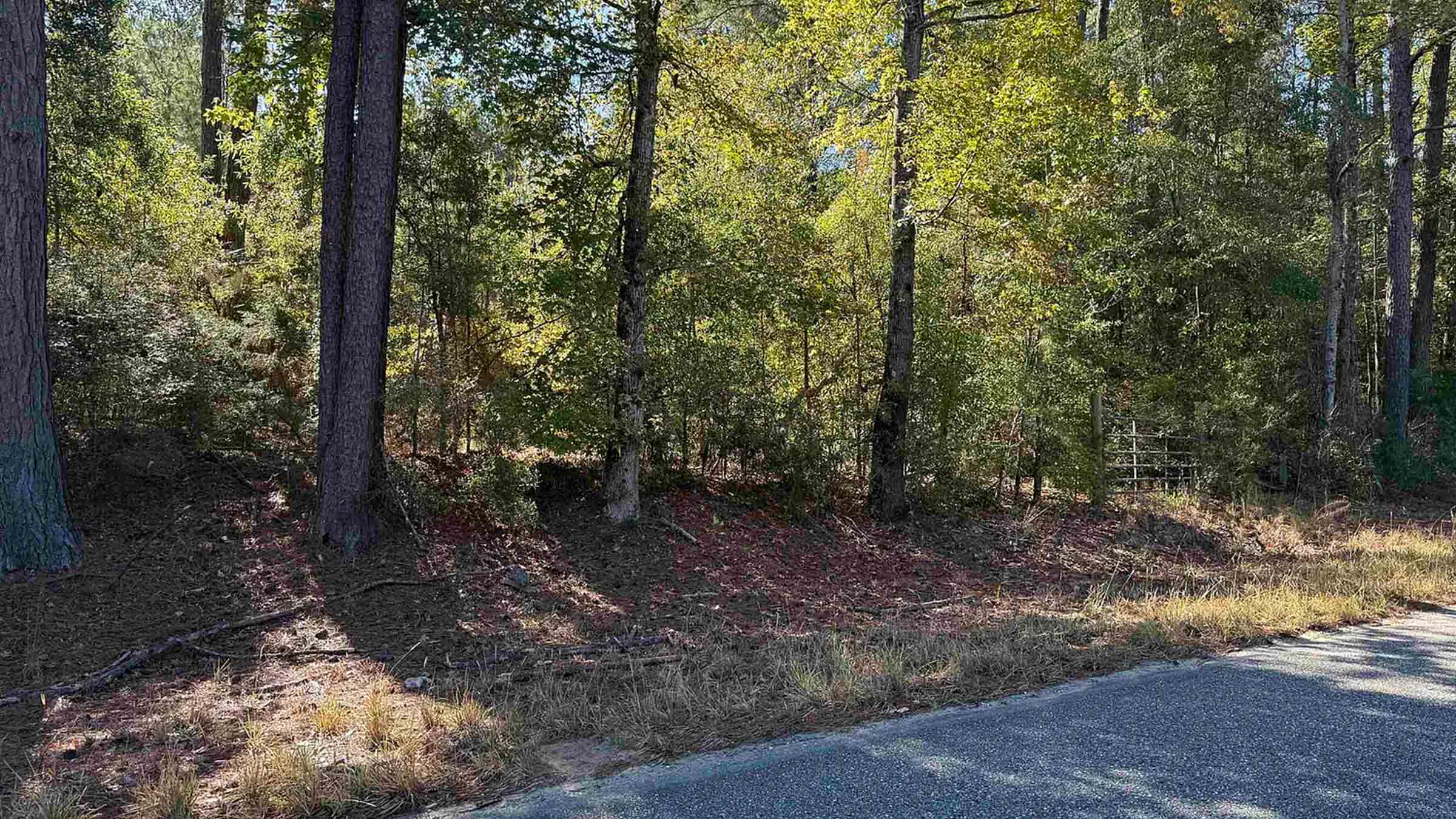 20-acre wooded land in Andalusia, Alabama purchased by Cash.Land