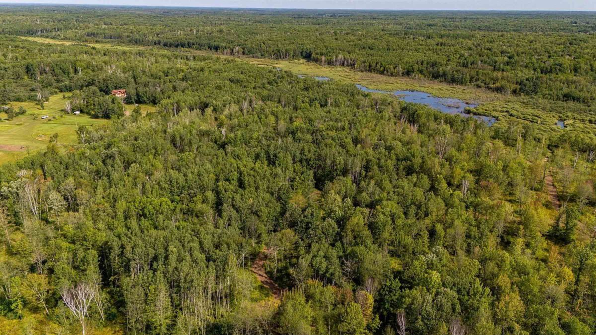40-acre wooded land in Kettle River, Minnesota purchased by Cash.Land