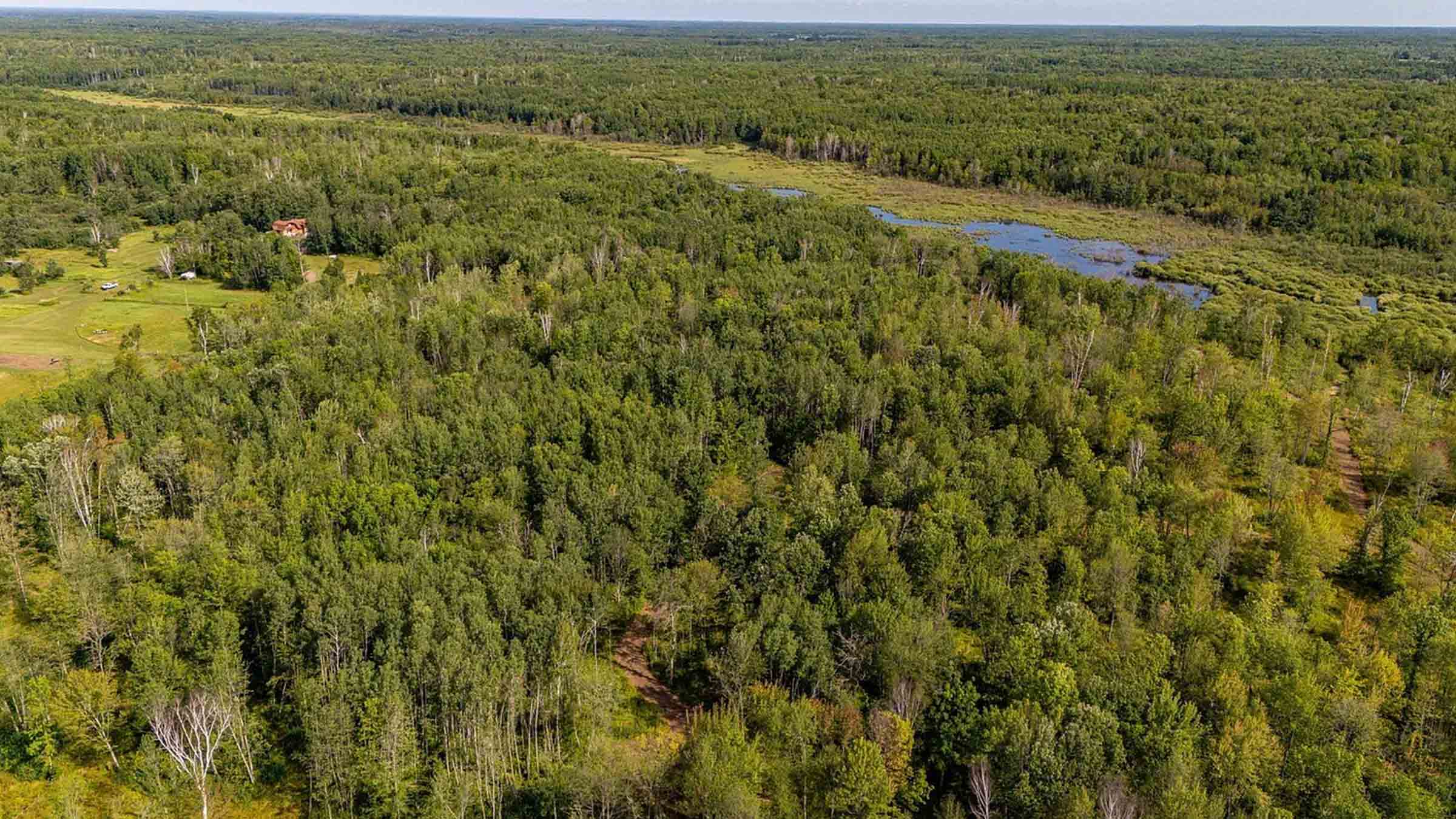 40-acre wooded land in Kettle River, Minnesota purchased by Cash.Land