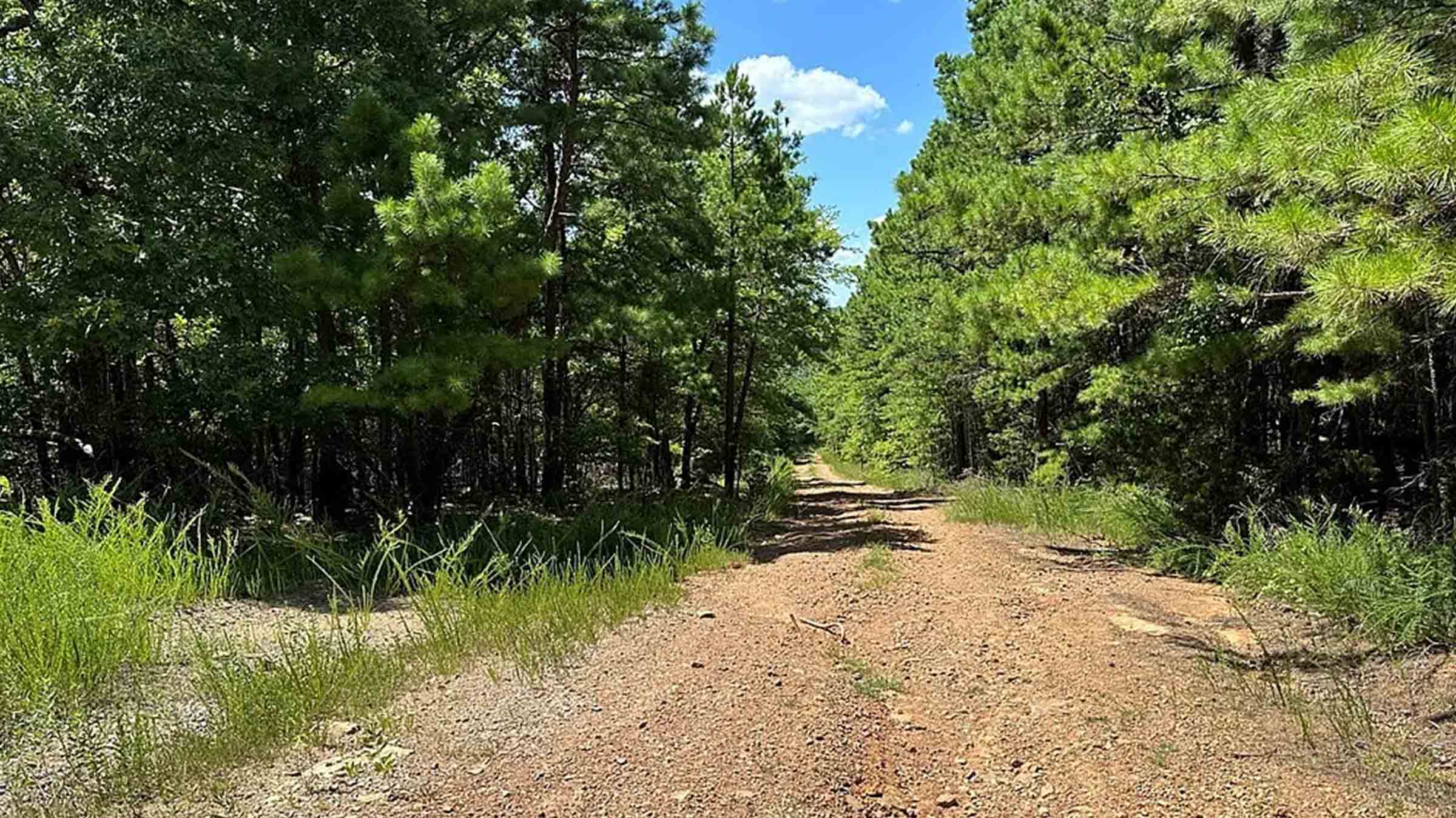 60-acre wooded land in Sallisaw, Oklahoma purchased by Cash.Land