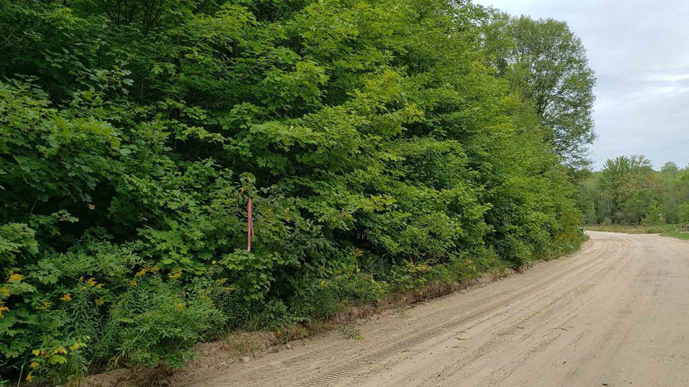 4.3-acre raw land in Burton, Ohio purchased by Cash.Land