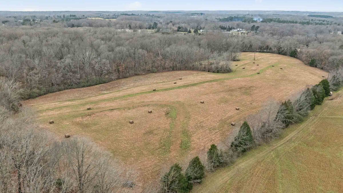 20-acre agricultural farm land in Big Rapids, Michigan purchased by Cash.Land