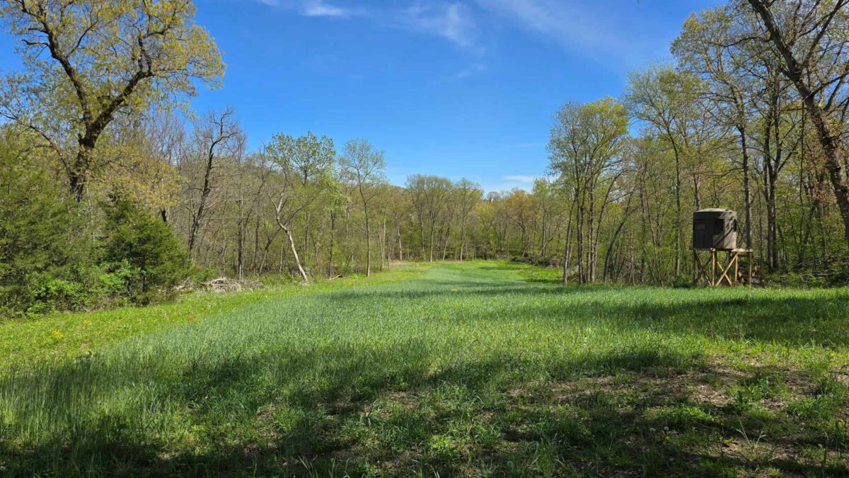 160-acre recreational land in Ava, Missouri purchased by Cash.Land