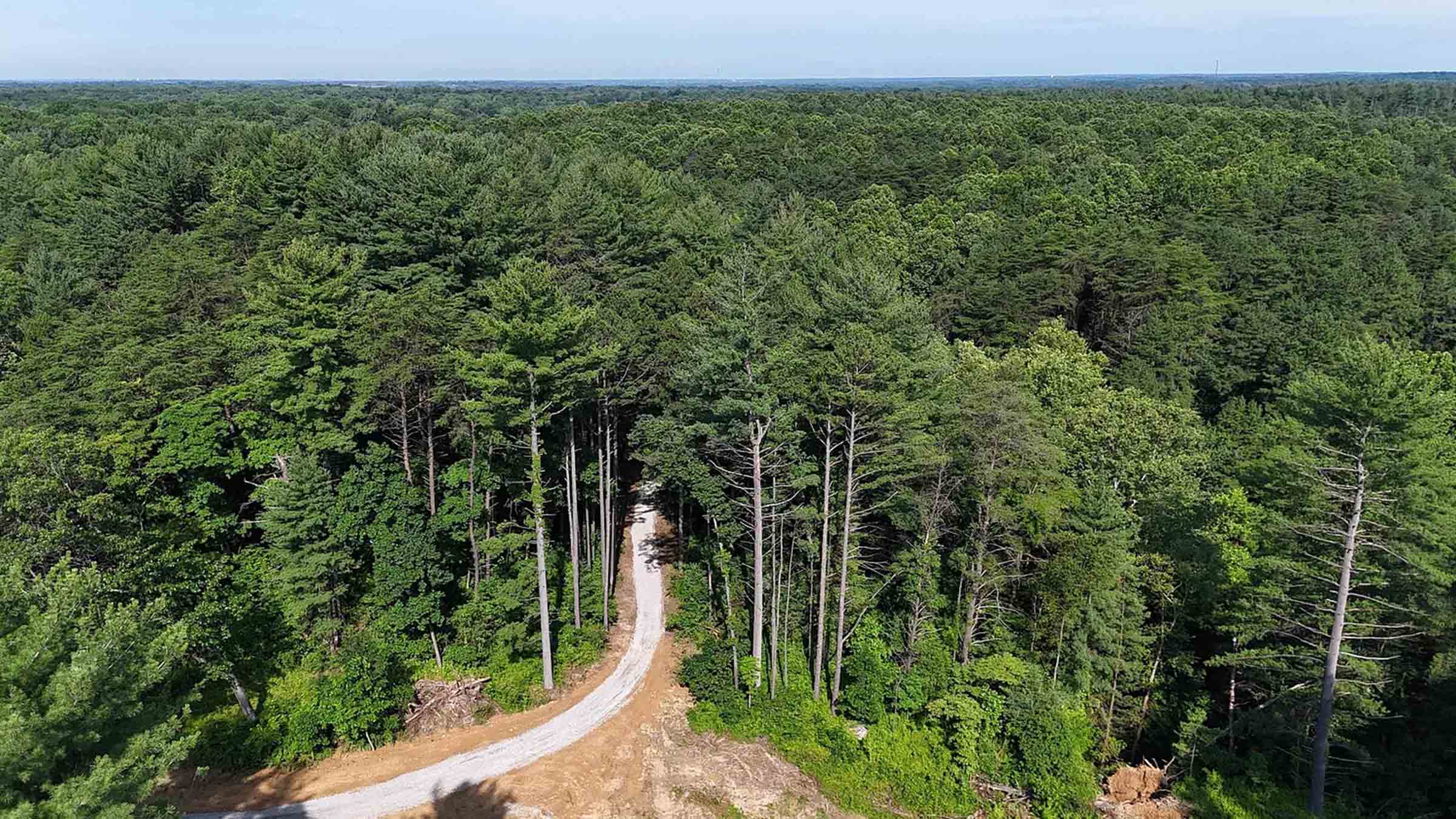 80-acre wooded land in Kokomo, Indiana purchased by Cash.Land