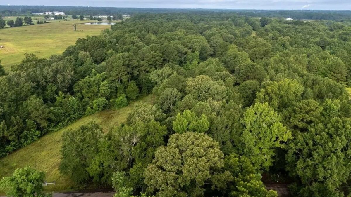 60-acre undeveloped land in Carthage, Texas purchased by Cash.Land