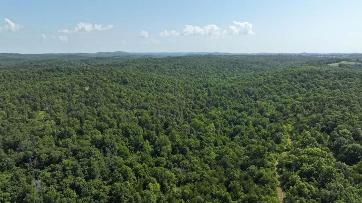 80-acre acreage in Eldon, Missouri purchased by Cash.Land