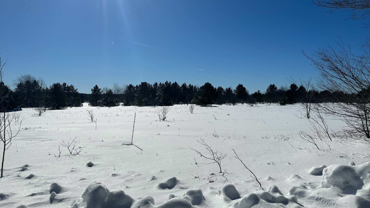 80-acre recreational land in Owosso, Michigan purchased by Cash.Land