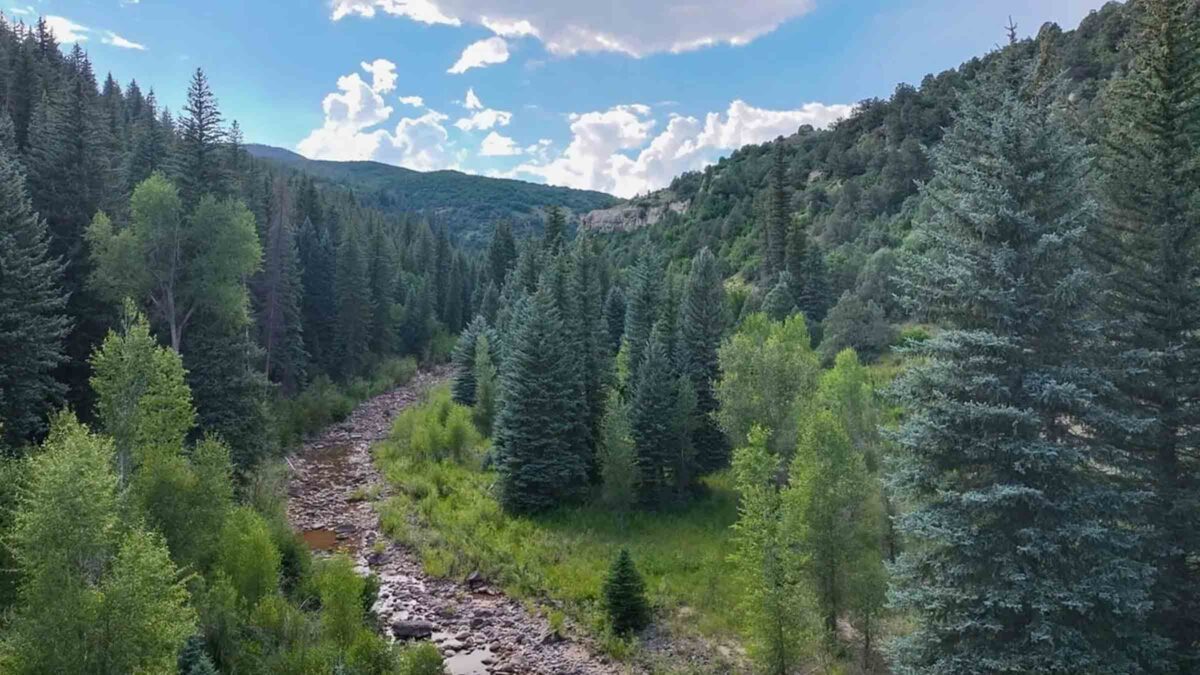 120-acre timber land in Rifle, Colorado purchased by Cash.Land