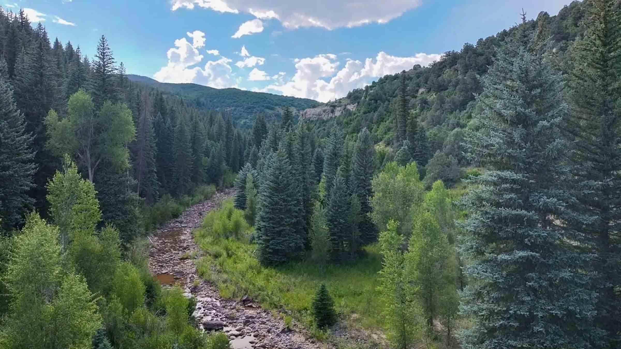 120-acre timber land in Rifle, Colorado purchased by Cash.Land
