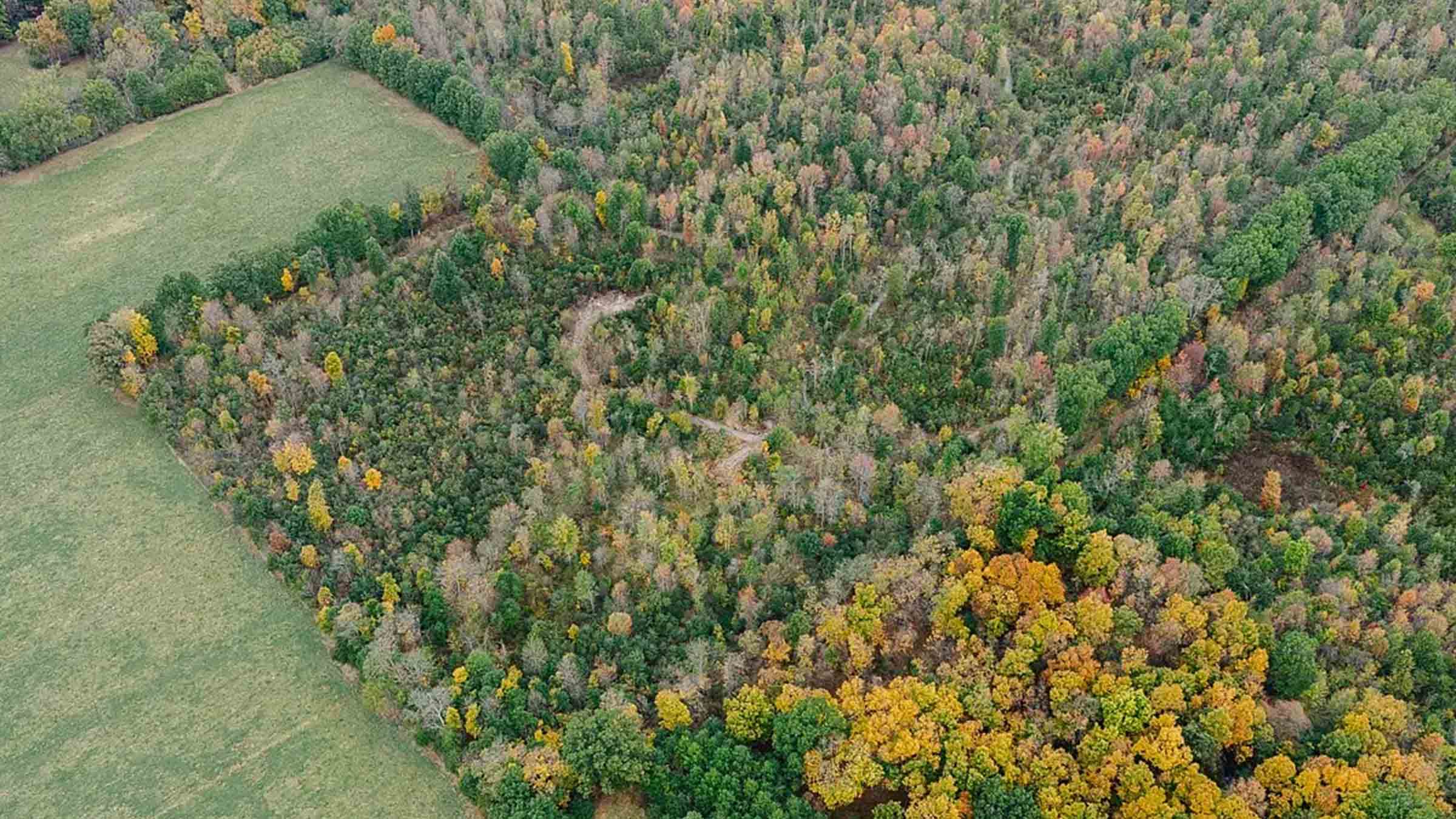 45-acre wooded land in Akron, Ohio purchased by Cash.Land