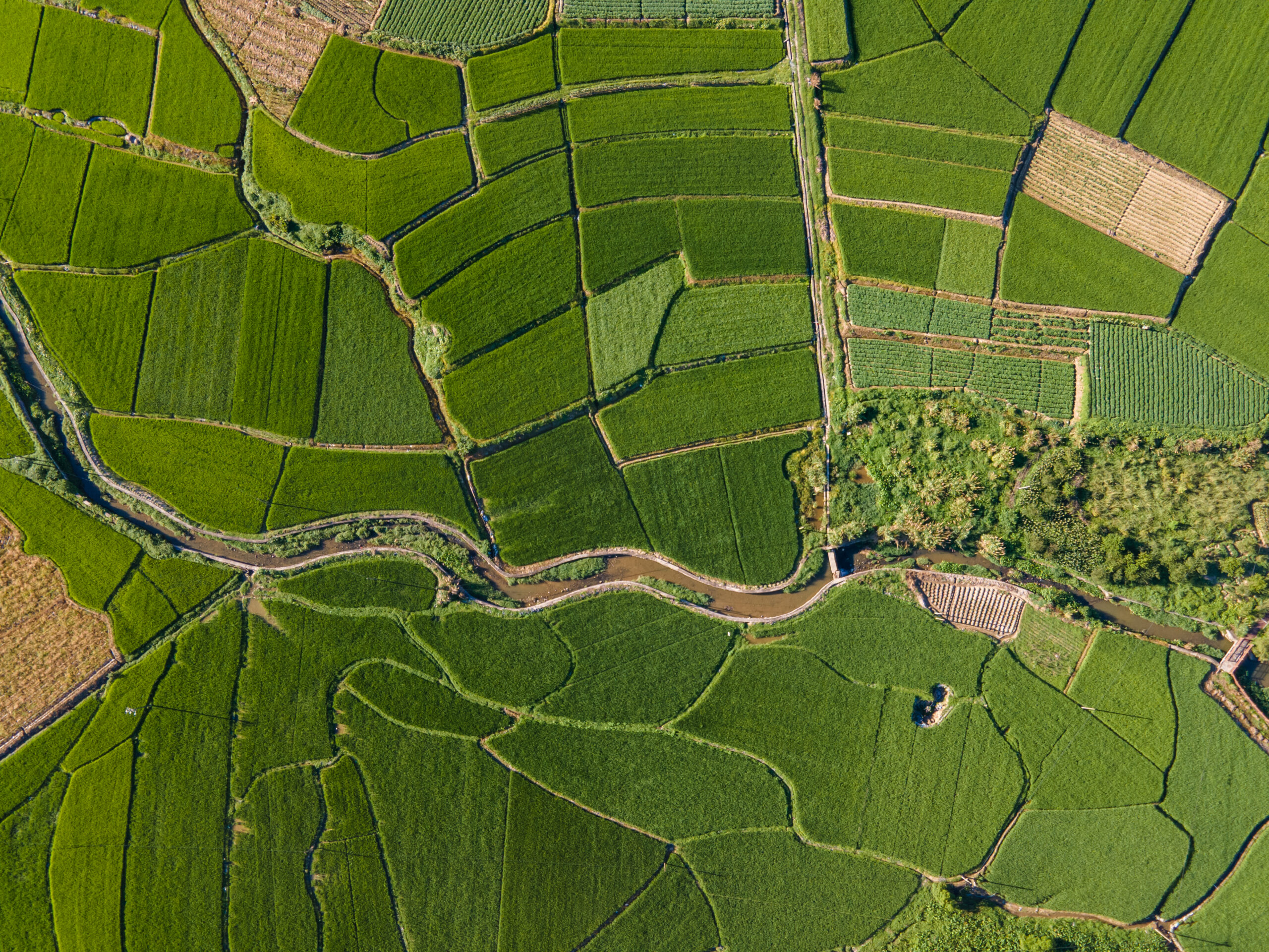 Sell land fast or sell house fast with Cash.Land