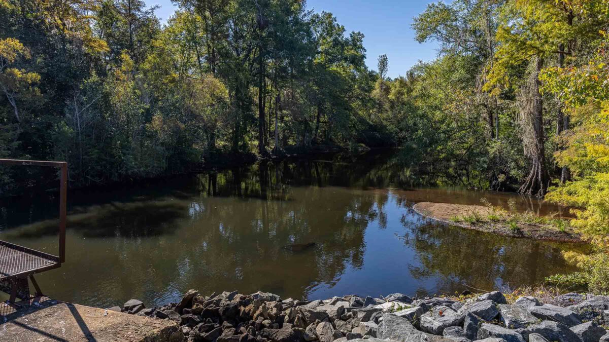 40-acre recreational land in Montague, Michigan purchased by Cash.Land