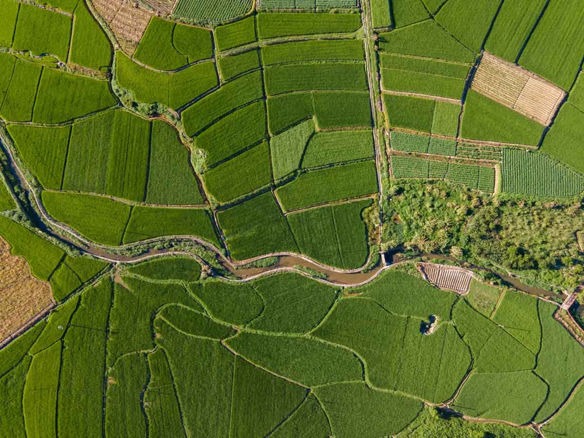 Sell land fast or sell house fast with Cash.Land