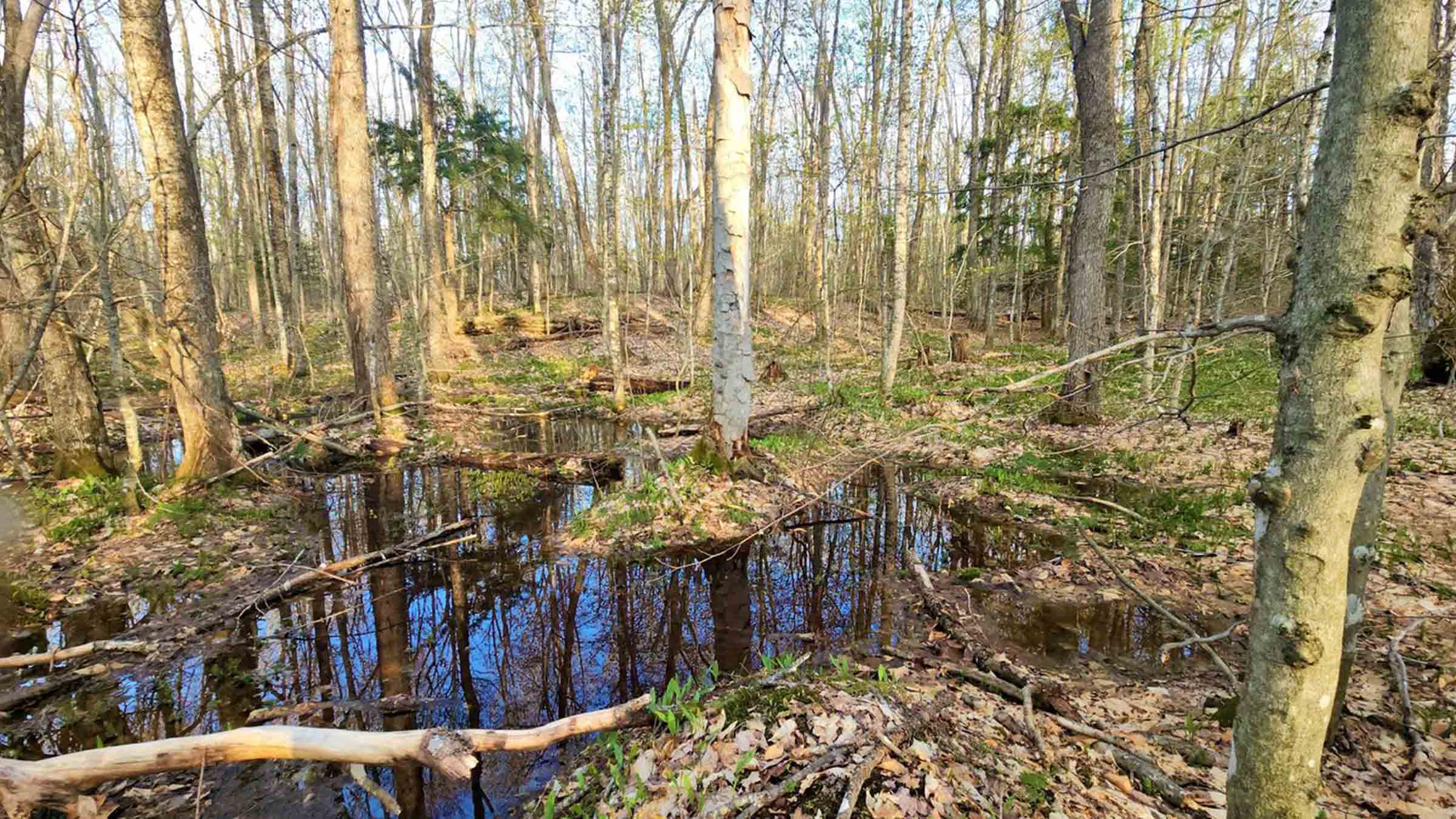 8.5-acre raw land in Frankfort, Kentucky purchased by Cash.Land