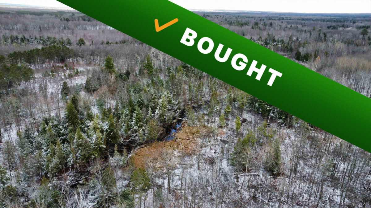 40-acre hunting land in Alpena, Michigan purchased by Cash Land