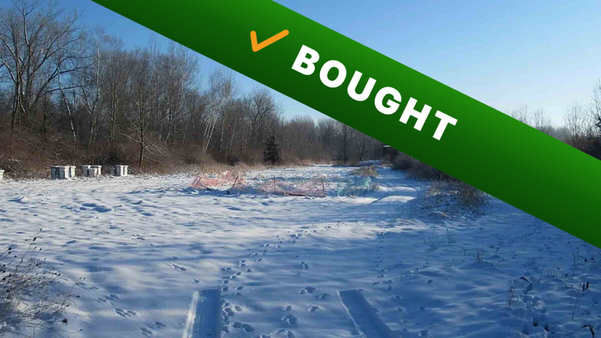 20-acre hunting land in Big Rapids, Michigan purchased by Cash Land