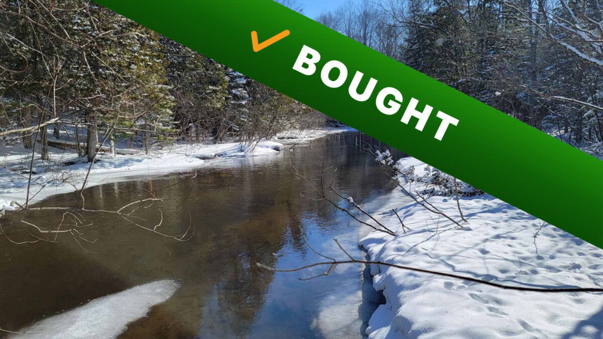 40-acre hunting land in Charlevoix, Michigan purchased by Cash Land