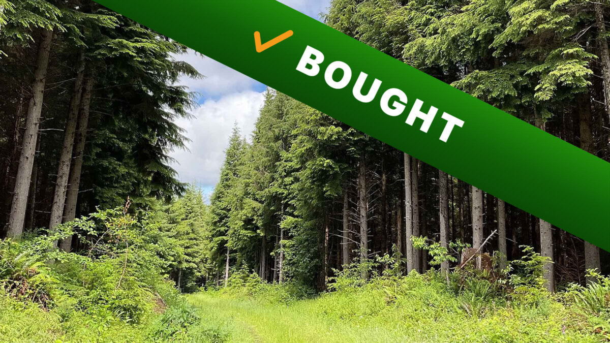 84.5-acre timber land in Sturgis, South Dakota purchased by Cash Land