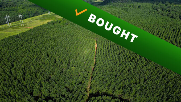 71.5-acre timber land in Waupaca, Wisconsin purchased by Cash Land