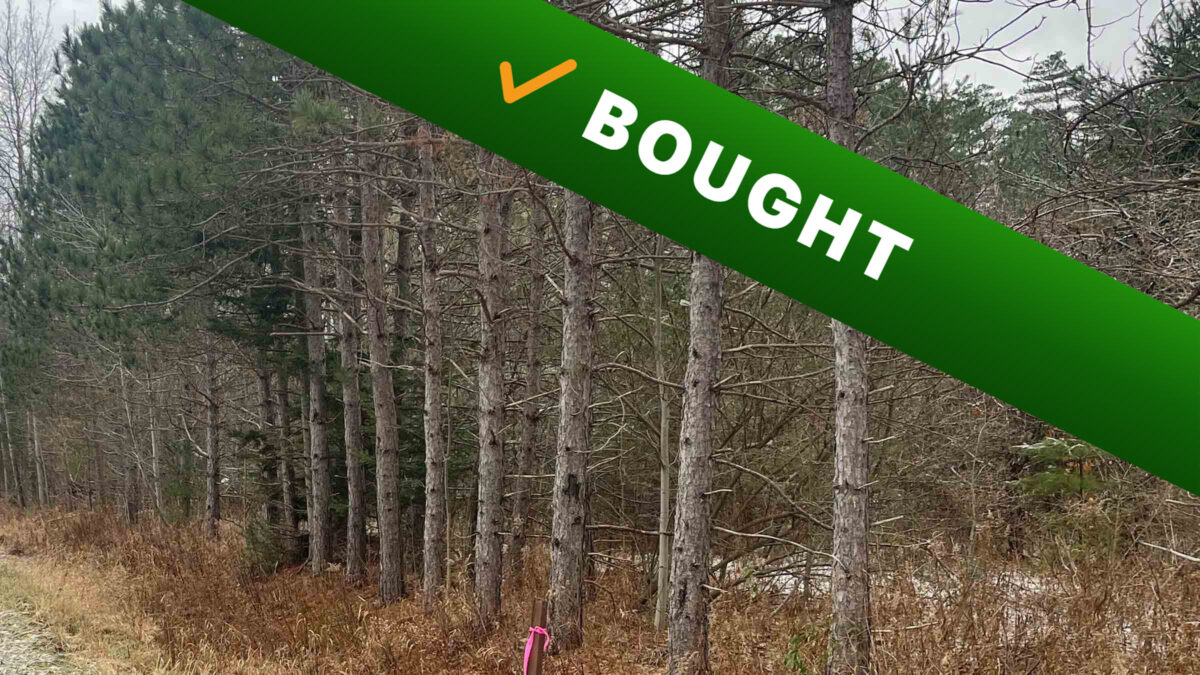 5-acre undeveloped land in Newaygo, Michigan purchased by Cash Land