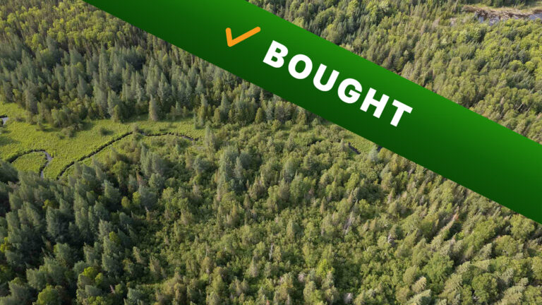 80-acre wooded land in Silver Cliff, Wisconsin purchased by Cash Land
